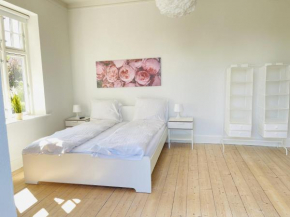 aday - City Central Mansion - 1 Bedroom with big terrace in Aalborg 